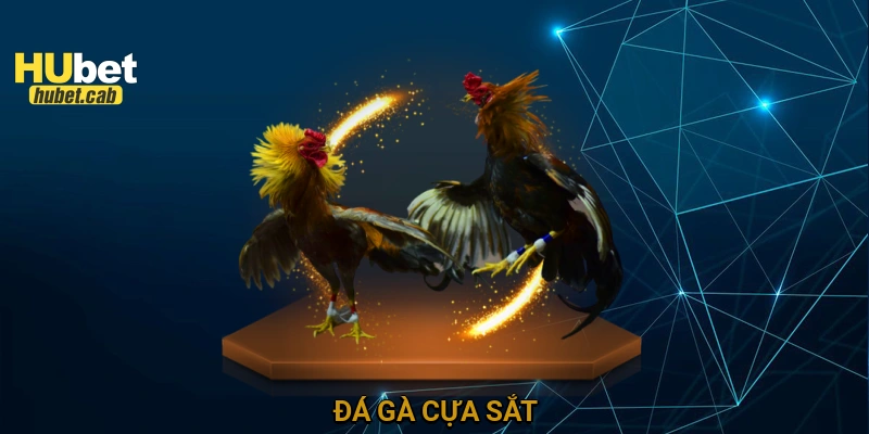Đá gà cựa sắt