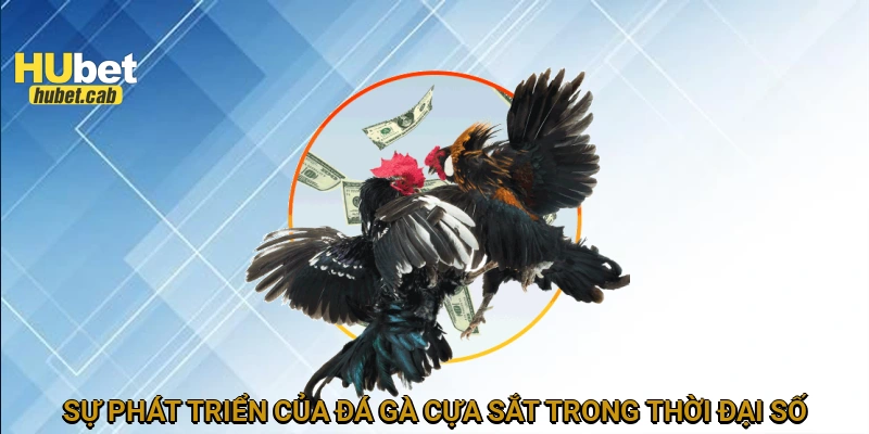 Sự phát triển của đá gà cựa sắt trong thời đại số